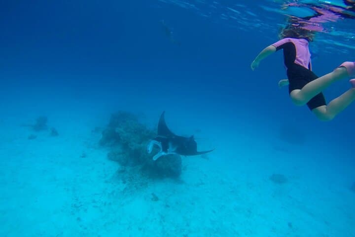 Bora Bora Private Lagoon Snorkel and Motu Lunch — Full-Day Cruise photo 3