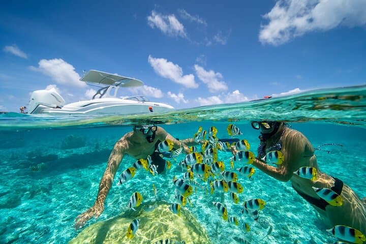Bora Bora Private Lagoon Snorkel and Motu Lunch — Full-Day Cruise photo 5
