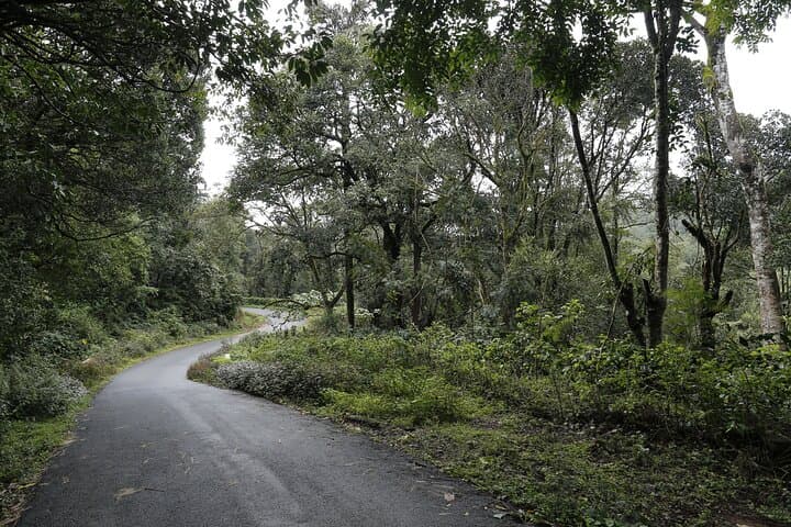 Private Coorg Cycling Tour Through Coffee Plantations and Reservoir Views photo 5