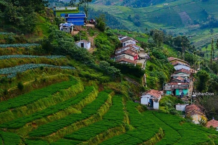 Kerala One-Week Tour: Kochi, Munnar, Thekkady & Alleppey