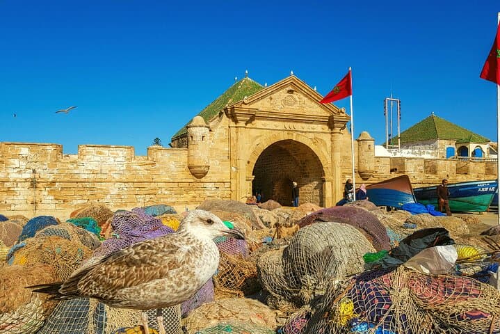 Essaouira Day Trip from Marrakech: Argan Forest, Medina & Atlantic Harbor photo 3