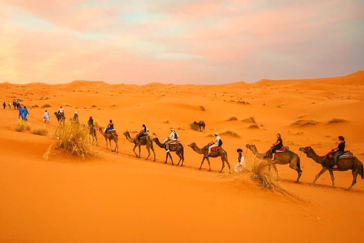Marrakech to Fes: 3-Day Desert Tour via Merzouga, Ait Ben Haddou & Todra Gorges photo 4