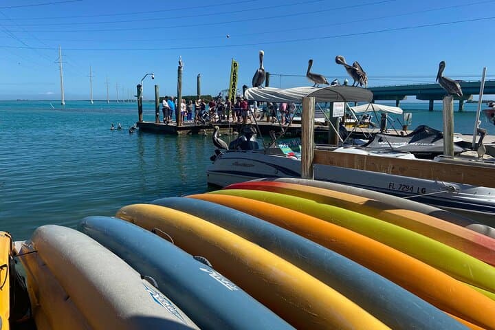 Miami to the Upper Keys: Private Cabriolet Bus Tour to Key Largo & Islamorada photo 2