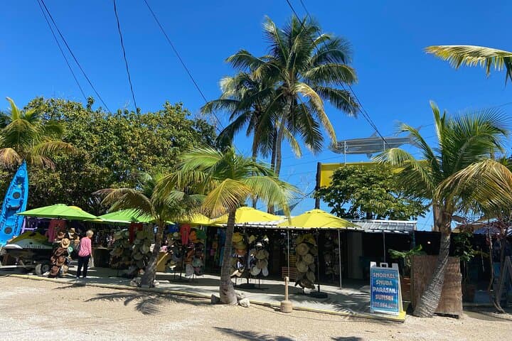 Miami to the Upper Keys: Private Cabriolet Bus Tour to Key Largo & Islamorada photo 5