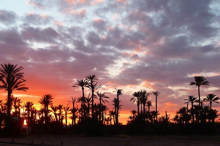 Sunset Camel Ride in Marrakech Palmeraie with Moroccan Tea