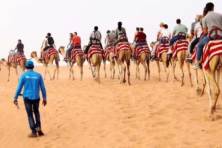 Red Dune Desert Safari: Sunset Dune Bashing & Bedouin Camp Experience photo 5