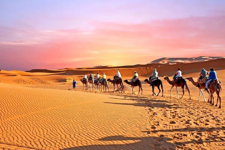 Zagora Desert Overnight: 2-Day Camel Trek to Tinfou Dunes from Marrakech