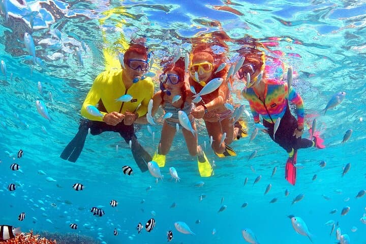 Eco Snorkeling at Fish Eye: Guided Piti Bay Marine Preserve Experience