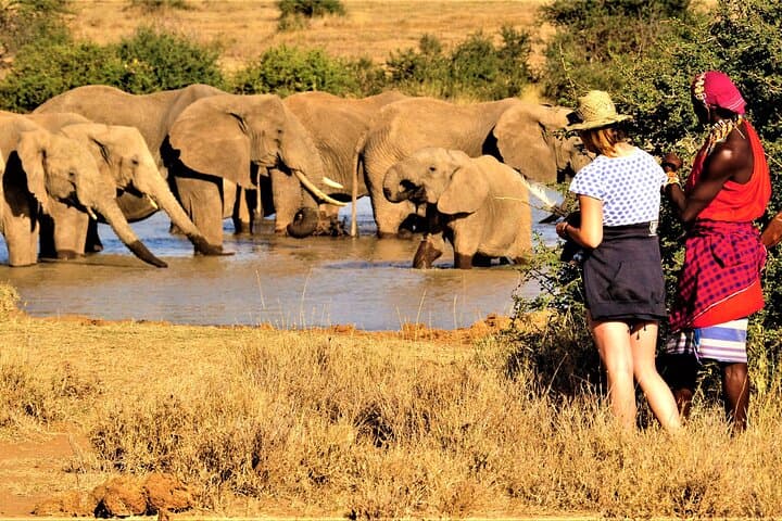 8-Day Kenya Cultural Tour & Laikipia Wildlife Safari — Community-Based Conservation