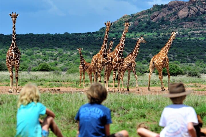 8-Day Kenya Cultural Tour & Laikipia Wildlife Safari — Community-Based Conservation photo 3