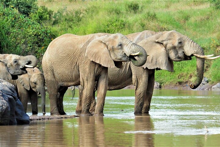 8-Day Kenya Cultural Tour & Laikipia Wildlife Safari — Community-Based Conservation photo 4