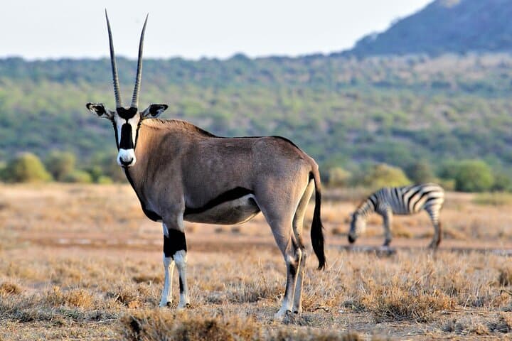 8-Day Kenya Cultural Tour & Laikipia Wildlife Safari — Community-Based Conservation photo 5