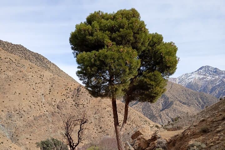 Overnight in a Berber Village: 2-Day Imlil Homestay in the High Atlas photo 6