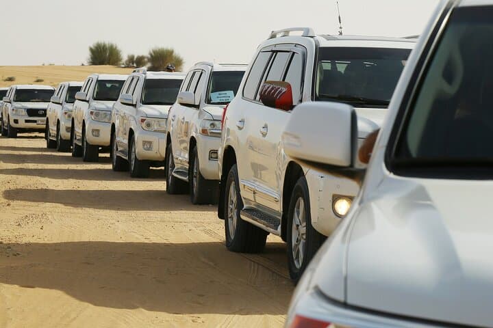 Dubai Red-Sand Dune Safari: Full Evening with Belly Dance, Tanura & Fire Show photo 5