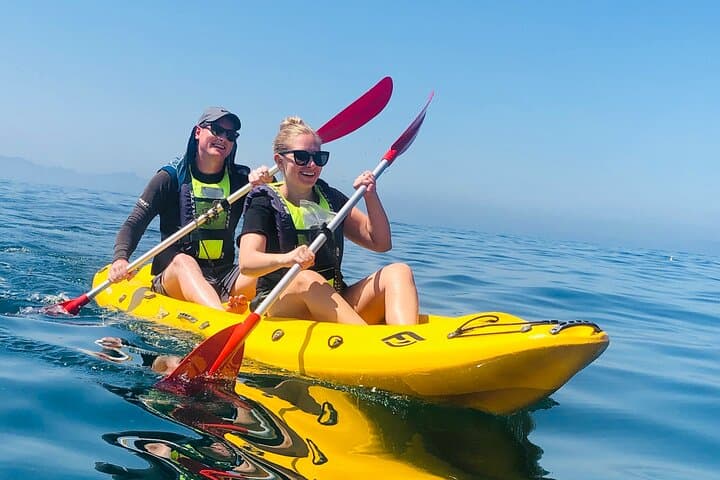 Sea Kayak with African Penguins — Paddle from Seaforth Beach, Cape Town photo 4