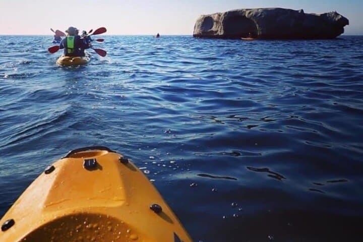 Sea Kayak with African Penguins — Paddle from Seaforth Beach, Cape Town photo 5