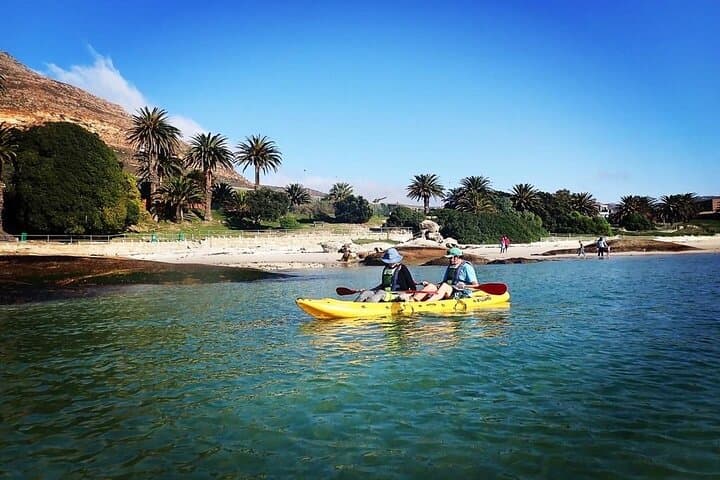Sea Kayak with African Penguins — Paddle from Seaforth Beach, Cape Town photo 6