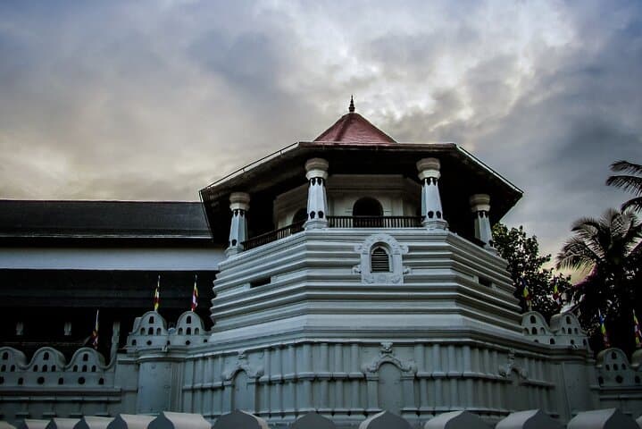 Sri Lanka Classic: 8-Day Cultural & Wildlife Journey from Negombo photo 4