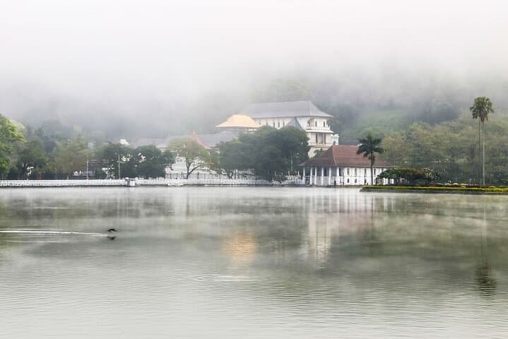 Sri Lanka Classic: 8-Day Cultural & Wildlife Journey from Negombo photo 6