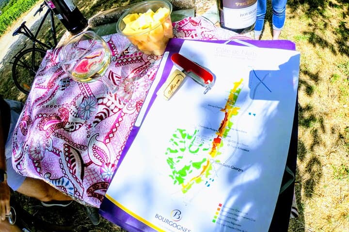 Cycle the Côte de Nuits: Bike Discovery and Vineyard Tasting from Chenôve photo 4