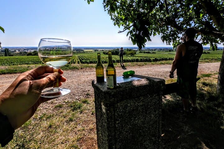 Cycle the Côte de Nuits: Bike Discovery and Vineyard Tasting from Chenôve photo 2