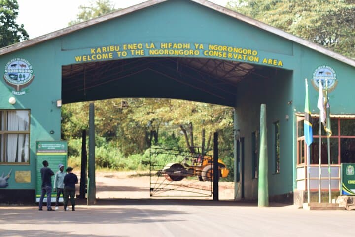 Budget 5-Day Tanzania Camping Safari: Tarangire, Serengeti & Ngorongoro photo 6