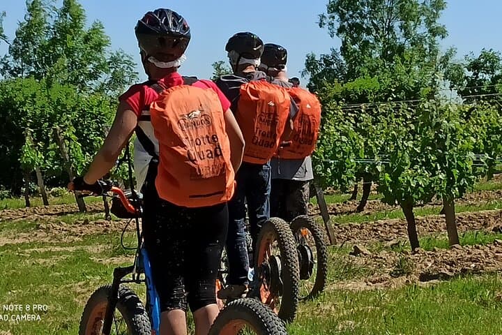 Monbazillac E‑Scooter Adventure: 3.5‑Hour Ride Through Vineyards and Forests photo 4