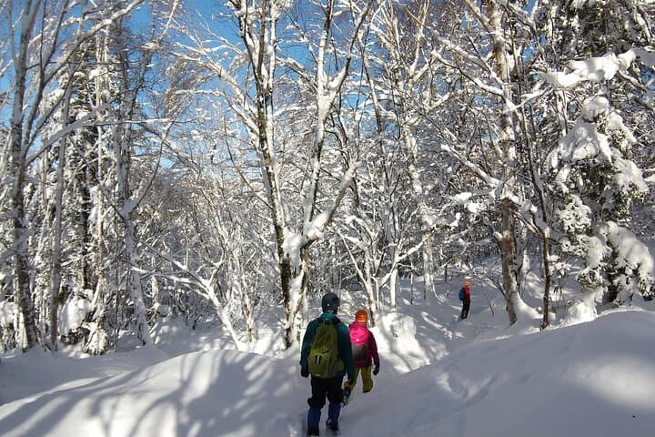 Frozen Fall Trekking to Hida-Osaka's Blue Ice Waterfall photo 5