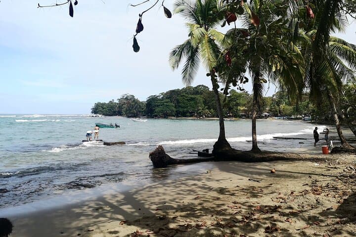 Private Transfer San José Airport to Puerto Viejo and Cahuita — Door-to-Door Minivan photo 5