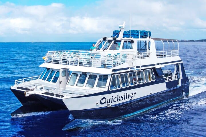 Maalaea Whale Watching Aboard the Quicksilver: 2-Hour Maui Catamaran Cruise photo 2