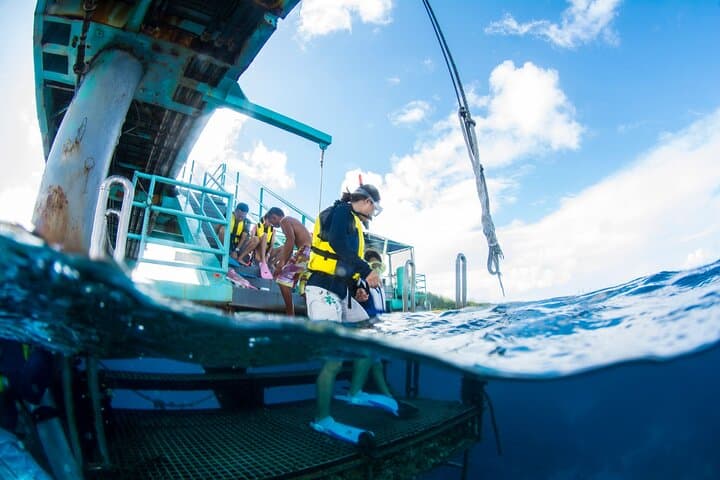 Eco Snorkeling at Fish Eye: Guided Piti Bay Marine Preserve Experience photo 3
