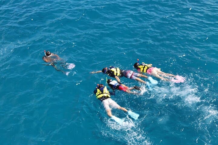 Eco Snorkeling at Fish Eye: Guided Piti Bay Marine Preserve Experience photo 4