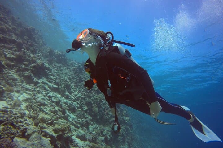 Discover Scuba Diving in Hurghada: Introductory Red Sea Dives for Beginners photo 5