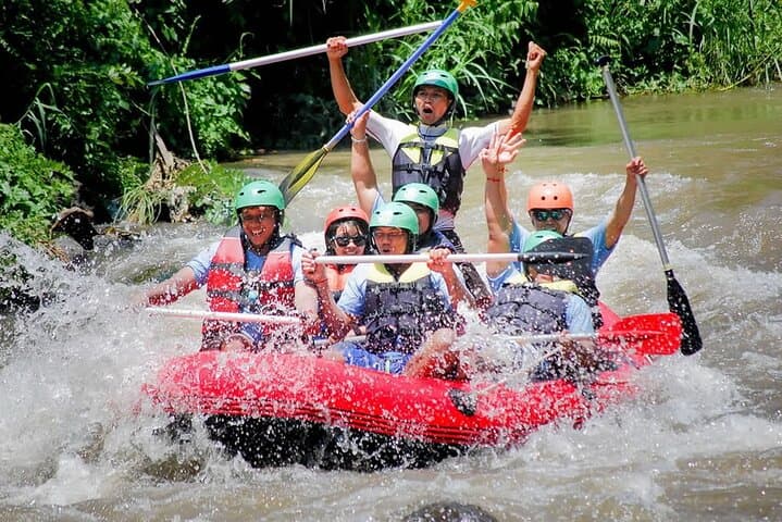 Ayung River White-Water Rafting & Bali Swing: Private Ubud Adventure photo 2