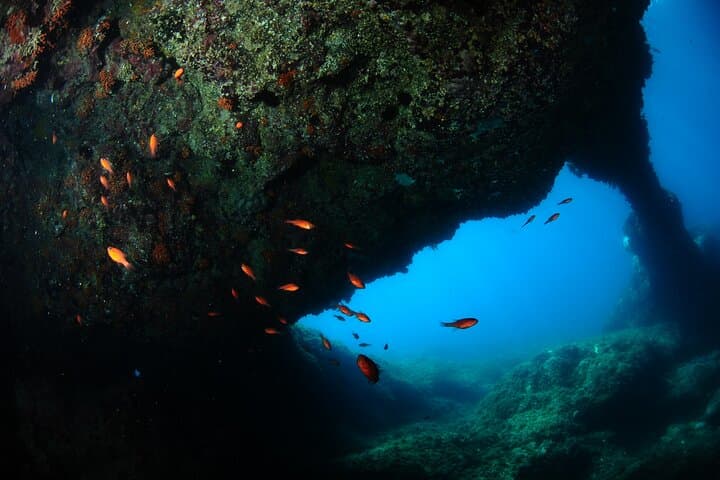 Guided Scuba Dives in Catania's Lava Bay — Full-Equipment Experience photo 3