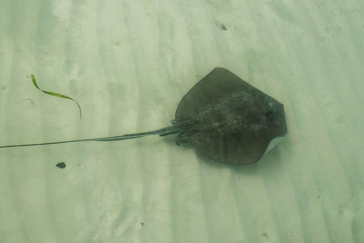 Private Isla Contoy Day Trip from Cancun: Snorkel, Birding & Beach Lunch photo 4