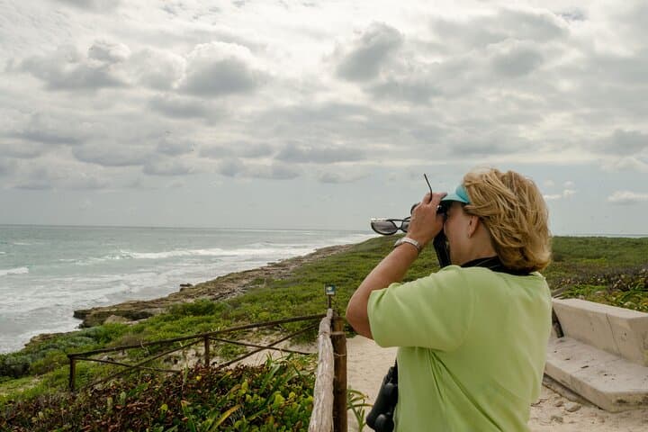 Private Isla Contoy Day Trip from Cancun: Snorkel, Birding & Beach Lunch photo 5