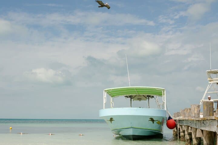 Private Isla Contoy Day Trip from Cancun: Snorkel, Birding & Beach Lunch photo 2
