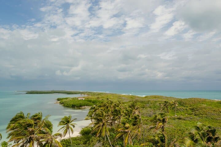 Private Isla Contoy Day Trip from Cancun: Snorkel, Birding & Beach Lunch photo 6