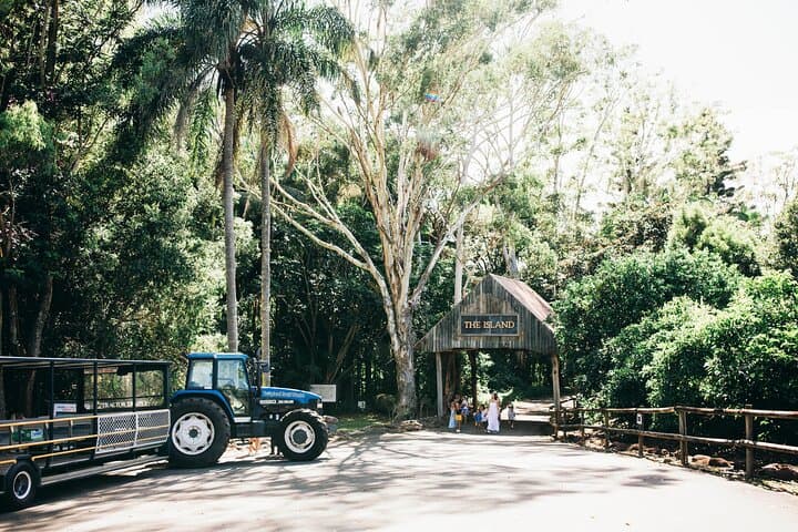 Tropical Fruit World Farm Full Tour: Plantation Safari & Wildlife Cruise Near Tweed Heads