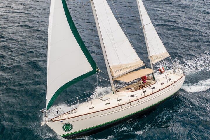 Half-Day Sail and Snorkel to Buck Island: Swim With Green Sea Turtles
