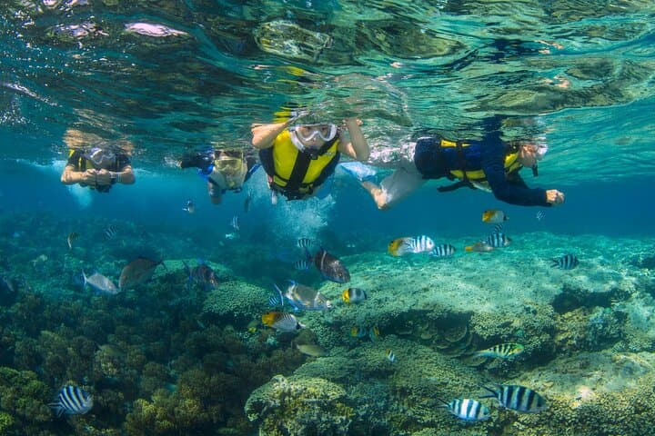 Guam Dolphin Cruise and Piti Bay Snorkel with Lunch