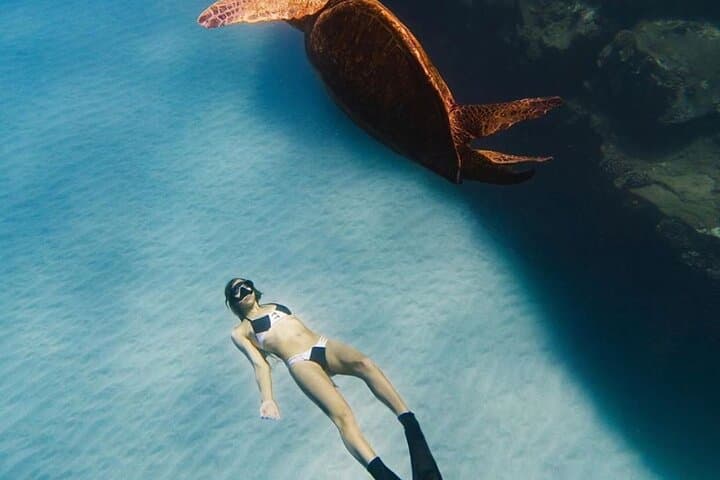 Explore Lanai’s Underwater World: Private Sanity Vessel Charter from Kaanapali Beach photo 5