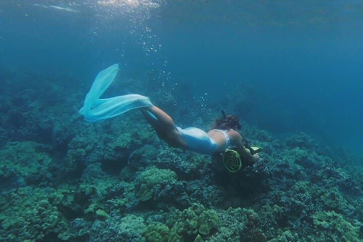 Explore Lanai’s Underwater World: Private Sanity Vessel Charter from Kaanapali Beach photo 4