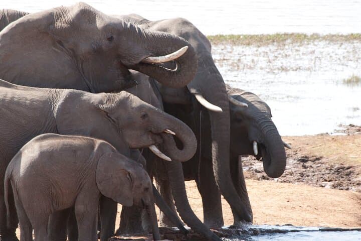 Victoria Falls 3-Day Guided Tour: Zambezi Sunset Cruise & Falls Walk photo 6
