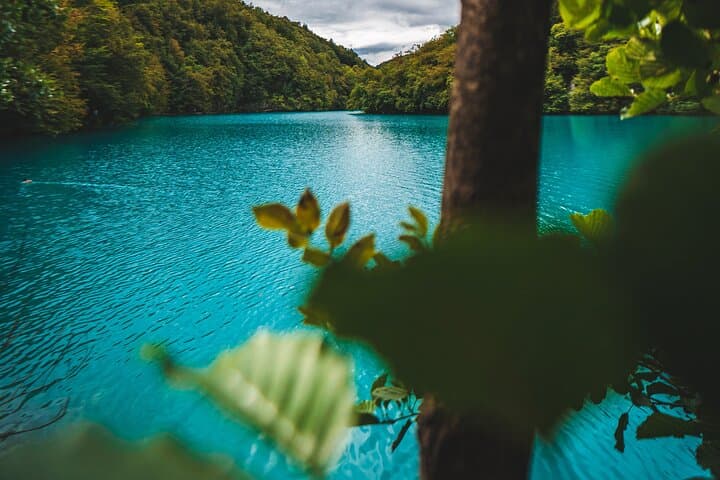 Day Trip from Split to Plitvice Lakes: Private Tour of Croatia's Waterfalls photo 5