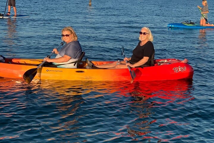 Siesta Key Mangrove Kayak Tour to a Secret Beach photo 4