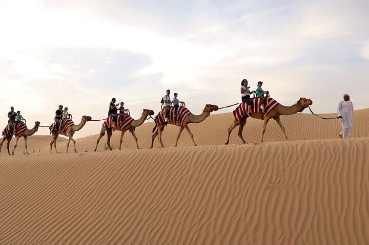 Dubai Desert Safari with BBQ Dinner: Evening Dune‑Bashing, Camel Rides & Live Shows photo 5