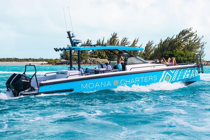 Private Half-Day Luxury Snorkeling in Providenciales — Explore the Turks and Caicos Barrier Reef photo 4
