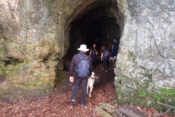 King Arthur's Wye Valley Walk: Symonds Yat Guided Hike photo 4